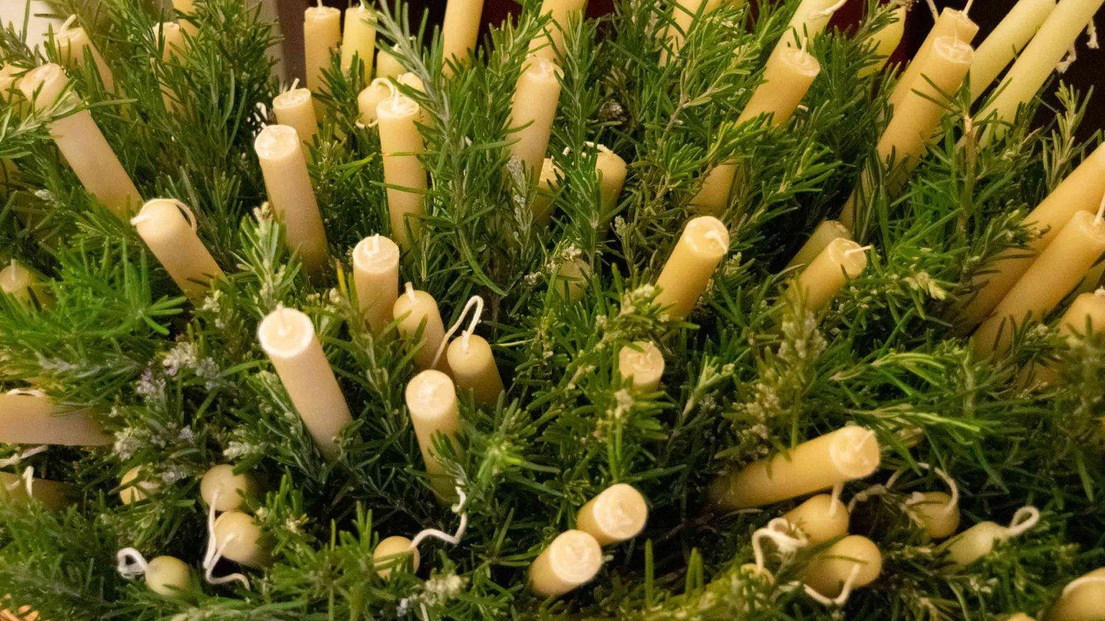 Conoce el origen y curiosidades de la Candelaria