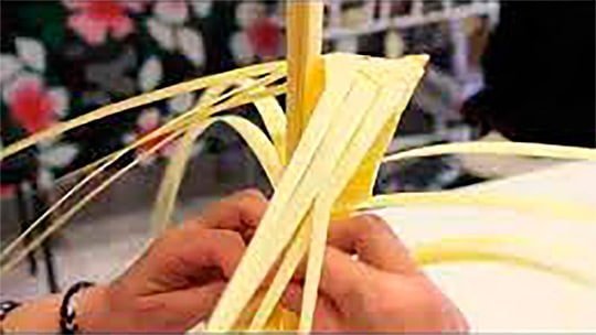 trenzado de una palma blanca de Elche